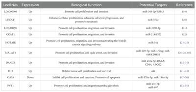 Deciphering the code: the pivotal role of lncRNAs in advancing TNBC therapy